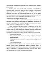 Referāts 'Fiskālās un monetārās politikas ietekme uz maksājuma bilanci', 9.