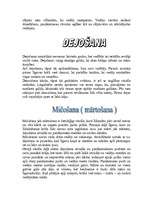 Referāts 'Senlatviešu kāzas, ticējumi un paražas', 8.