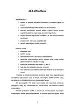 Konspekts 'SIA dibināšana', 1.