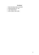 Referāts 'J.Jaunsudrabiņš "Vēja ziedi"', 13.