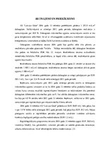 Prakses atskaite 'AS "Latvijas Gāze"', 16.