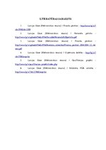 Prakses atskaite 'AS "Latvijas Gāze"', 17.