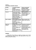 Prakses atskaite 'Psiholoģisko vērojumu prakse', 9.