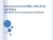 Prezentācija 'Balsta un kustību orgānu sistēma', 1.