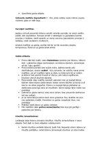 Prezentācija 'Japāna', 37.