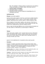 Prezentācija 'Japāna', 38.