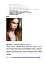 Konspekts 'Desmit reklāmas aģentūras ar īsu aprakstu', 4.