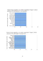 Diplomdarbs 'Profesionālā kvalifikācijas darba teorētiskā daļa apģērbu dizainā', 54.