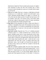 Referāts 'Maršruts pa Latviju', 6.