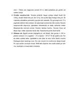 Referāts 'Maršruts pa Latviju', 7.