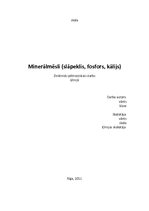 Referāts 'Minerālmēsli', 1.