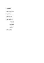 Referāts 'Minerālmēsli', 2.