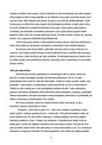 Eseja 'Platona uzskati par ideālu valsti', 6.