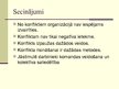 Prezentācija 'Konflikti un to risināšana uzņēmumā', 17.
