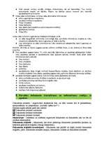 Konspekts 'Lietvedības eksāmena atbildes', 3.