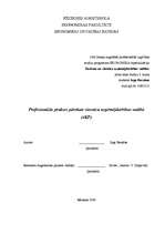 Prakses atskaite 'Profesionālās prakses pārskats viesnīcu uzņēmējdarbības vadībā', 1.