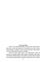 Prakses atskaite 'Profesionālās prakses pārskats viesnīcu uzņēmējdarbības vadībā', 14.