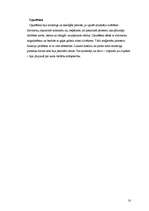 Referāts 'Reliģija un rituāli Senajā Romā', 16.