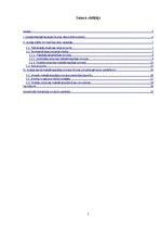 Referāts 'Jaunā maksātnespējas procesa likuma projekta galvenie uzstādījumi', 2.