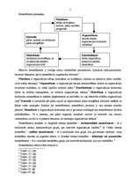 Konspekts 'Uzņēmuma dzīves cikls un tā vadīšana', 2.