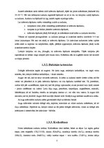 Referāts 'Videi draudzīga vilnas krāsošanas tehnoloģija', 8.