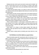 Referāts 'Videi draudzīga vilnas krāsošanas tehnoloģija', 12.