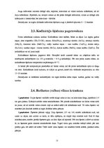 Referāts 'Videi draudzīga vilnas krāsošanas tehnoloģija', 13.