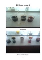 Referāts 'Videi draudzīga vilnas krāsošanas tehnoloģija', 21.