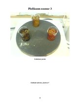 Referāts 'Videi draudzīga vilnas krāsošanas tehnoloģija', 23.