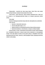 Referāts 'Zibensnovedējs - aizsardzība pret zibens kaitīgo ietekmi', 3.