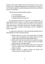 Referāts 'Zibensnovedējs - aizsardzība pret zibens kaitīgo ietekmi', 25.