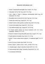 Referāts 'Zibensnovedējs - aizsardzība pret zibens kaitīgo ietekmi', 28.