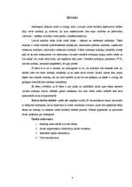 Referāts 'Tiešo nodokļu ietekme uz valsts budžetu', 6.