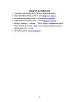 Referāts 'Tiešo nodokļu ietekme uz valsts budžetu', 30.