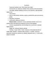 Referāts 'Tuberkulozes izplatība Latvijā', 3.