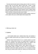 Referāts 'Nekustamo īpašumu uzņēmuma "Jūsmājas" analīze', 4.