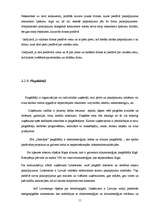 Referāts 'Nekustamo īpašumu uzņēmuma "Jūsmājas" analīze', 11.