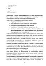 Referāts 'Nekustamo īpašumu uzņēmuma "Jūsmājas" analīze', 21.