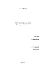 Referāts 'ASV aviācija Vjetnamas karā', 1.