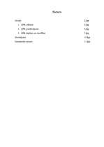 Referāts 'SPA pakalpojumu aktualitāte mūsdienās', 1.