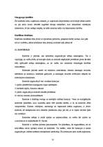 Referāts 'Menedžmenta projekts uzņēmumā "ALORA"', 20.