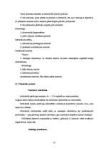 Referāts 'Menedžmenta projekts uzņēmumā "ALORA"', 25.