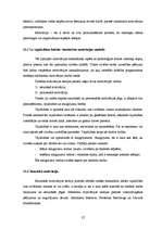 Referāts 'Menedžmenta projekts uzņēmumā "ALORA"', 27.