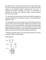 Konspekts 'Ģenētiskā programma. Tās realizēšanās mijiedarbībā ar vides apstākļiem', 2.