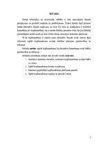 Referāts 'Kopfinansēšanas platformas - mūsdienīgs finanšu insruments', 3.