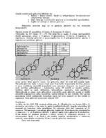 Referāts 'Sirds glikozīdi jeb kardenolīdi', 4.