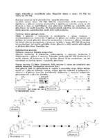 Referāts 'Sirds glikozīdi jeb kardenolīdi', 6.