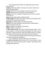 Konspekts 'Raiņa lugas "Uguns un nakts" analīze', 6.