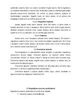 Referāts 'Privātpersonu noguldījumu un investīciju iespējas', 7.