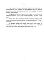 Referāts 'Uzņēmuma maksātspējas noteikšanas metodes', 2.